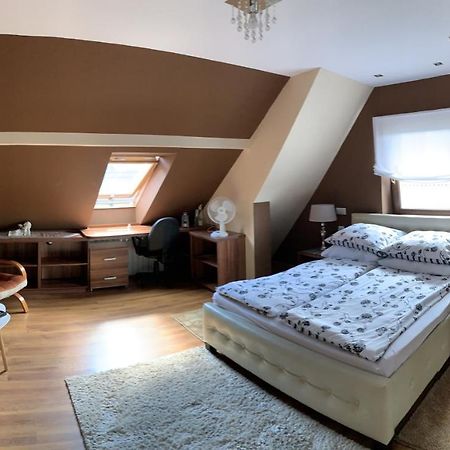Apartament Podczerwone ツァルニ・ドゥナイェツ エクステリア 写真
