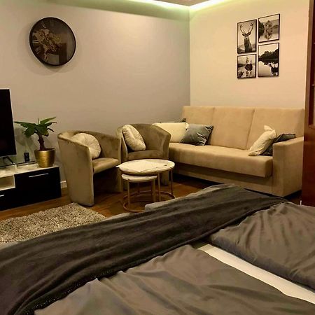 Apartament Podczerwone ツァルニ・ドゥナイェツ エクステリア 写真