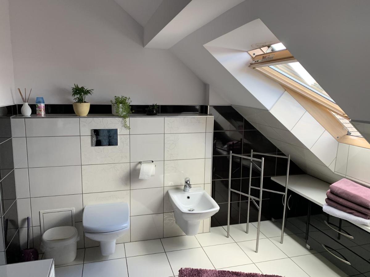Apartament Podczerwone ツァルニ・ドゥナイェツ エクステリア 写真