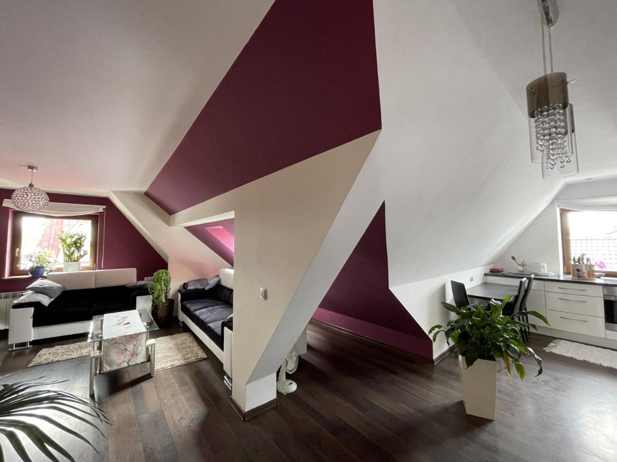 Apartament Podczerwone ツァルニ・ドゥナイェツ エクステリア 写真