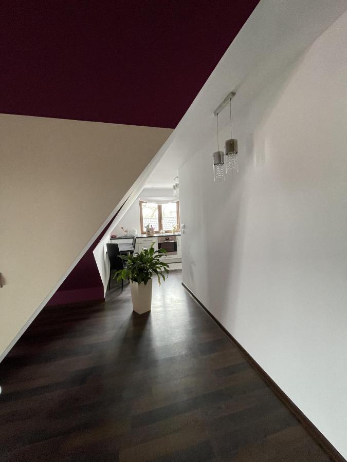 Apartament Podczerwone ツァルニ・ドゥナイェツ エクステリア 写真