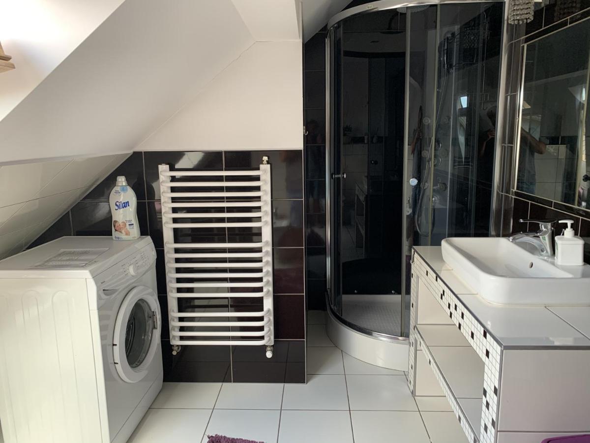 Apartament Podczerwone ツァルニ・ドゥナイェツ エクステリア 写真