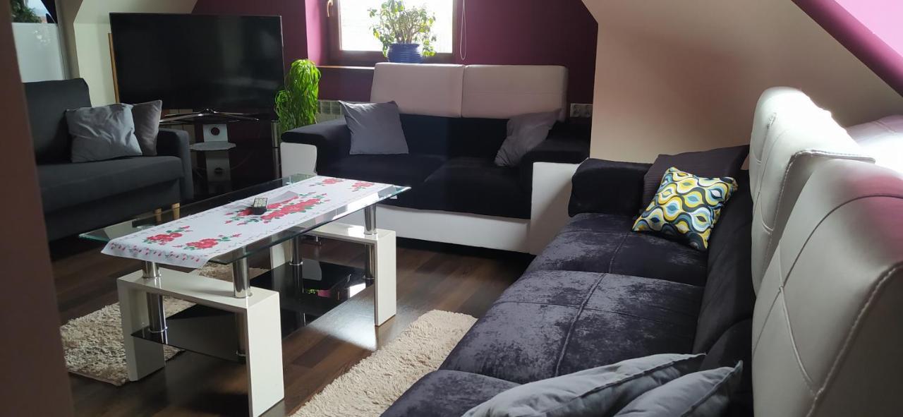Apartament Podczerwone ツァルニ・ドゥナイェツ エクステリア 写真