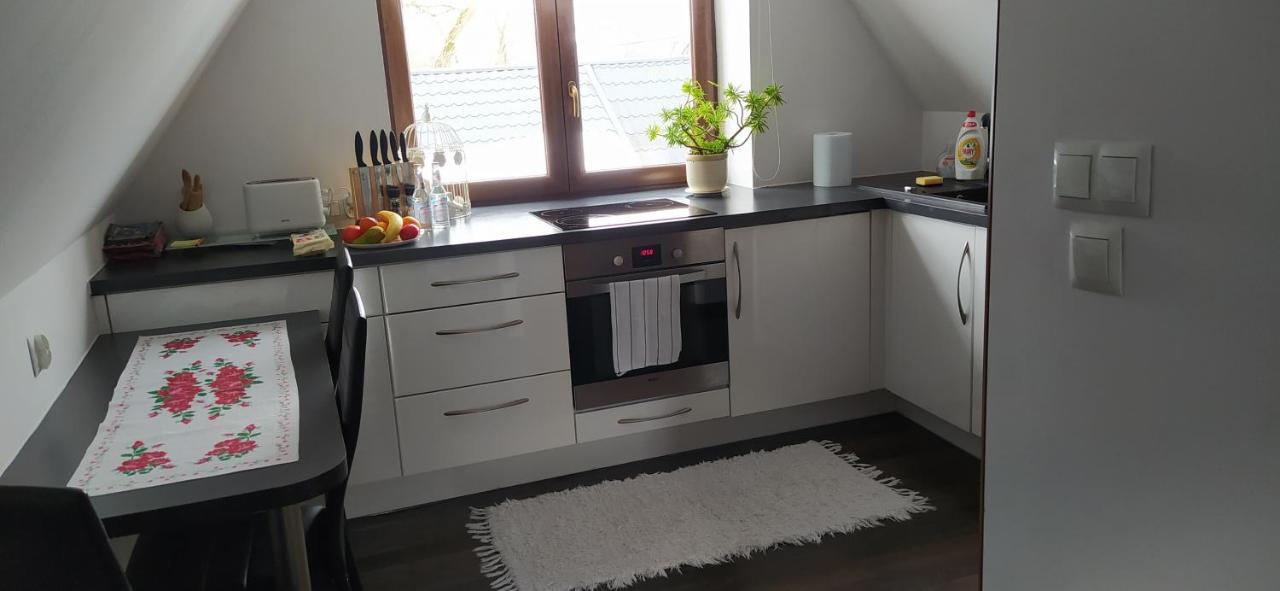 Apartament Podczerwone ツァルニ・ドゥナイェツ エクステリア 写真