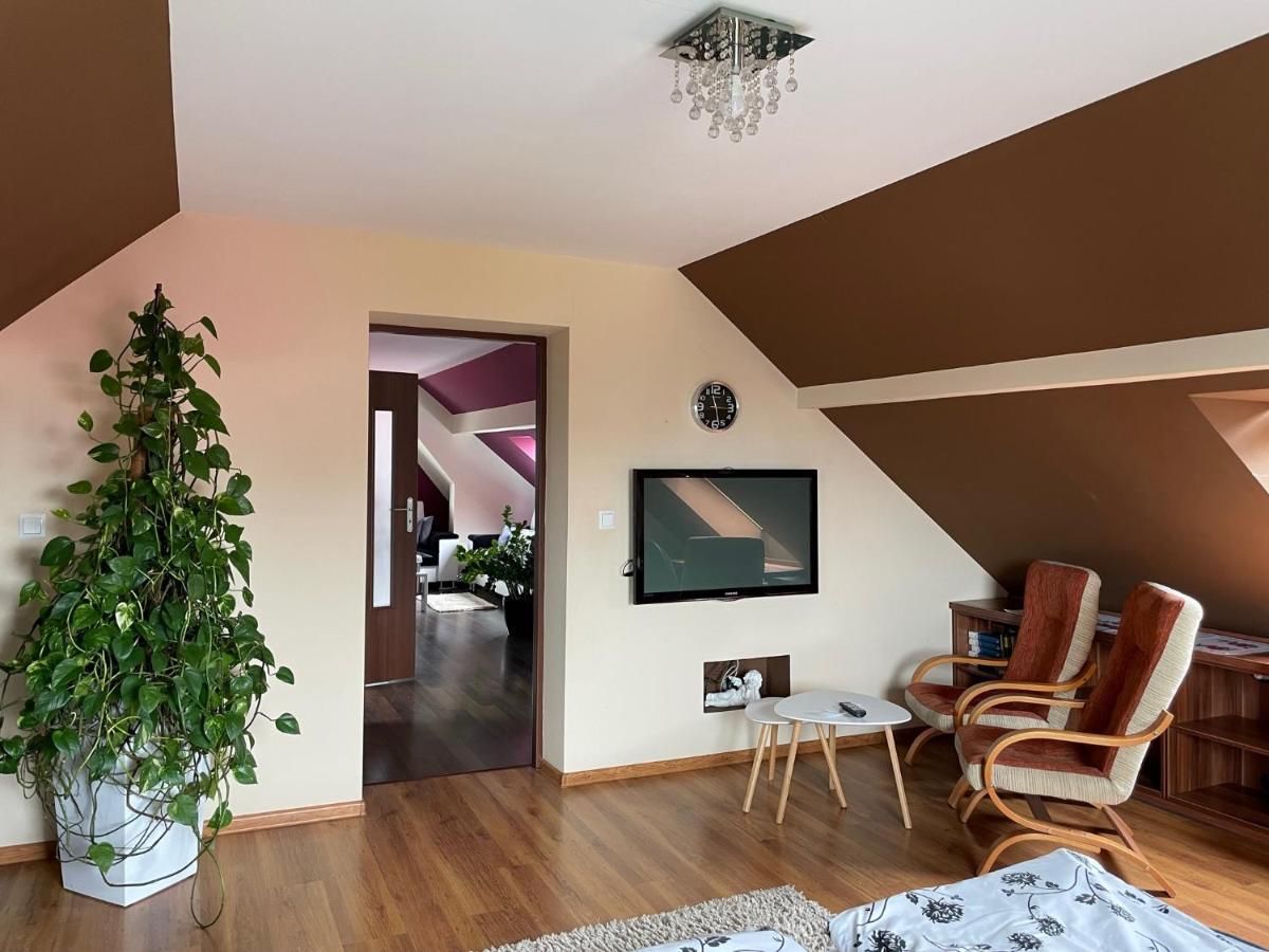 Apartament Podczerwone ツァルニ・ドゥナイェツ エクステリア 写真