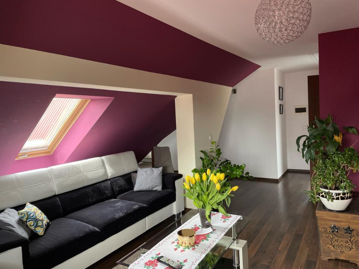 Apartament Podczerwone ツァルニ・ドゥナイェツ エクステリア 写真